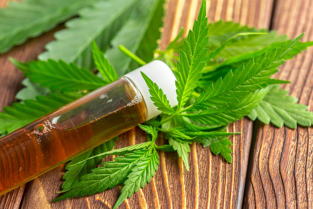 Miten CBD uutetaan hampusta?