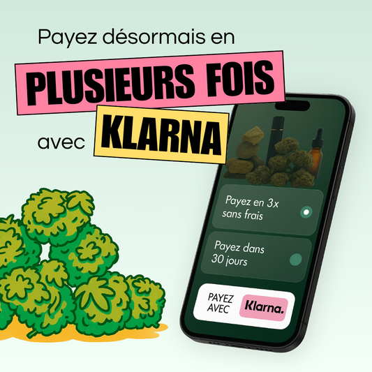 🧾 Klarna: Pago por uso: libertad, flexibilidad y seguridad