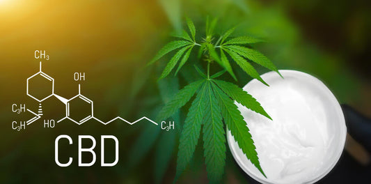 ¿Qué es el CBD?