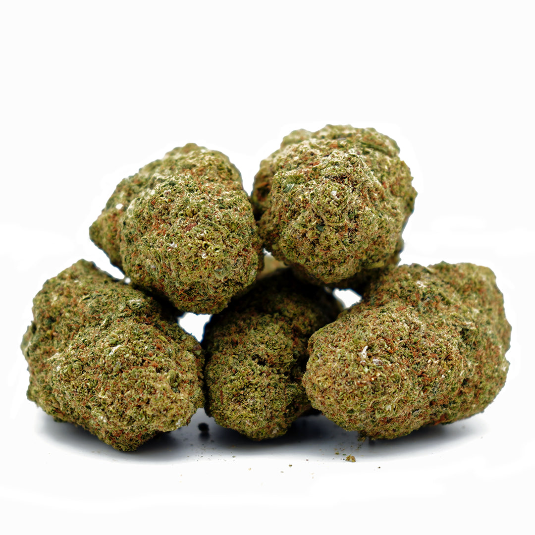 Alien Kush CBD [hydrocultuur