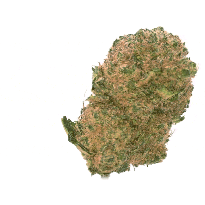 L.A Cali CBD [Hydrocultuur