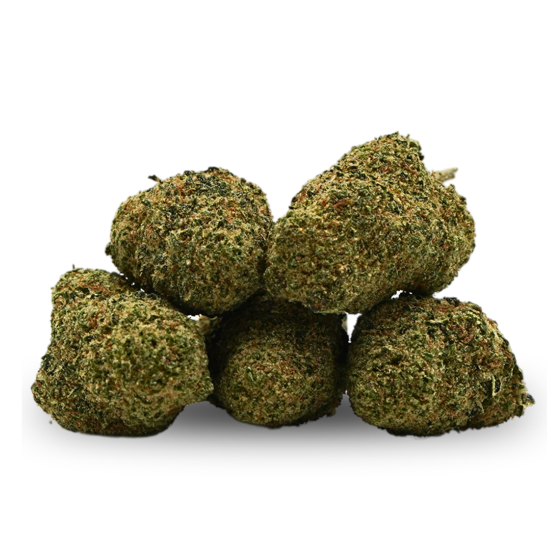 L.A Cali CBD [Hydrocultuur