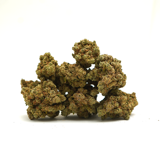 Amnesia CBD [hydrocultuur