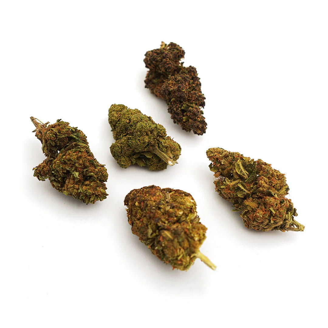Discovery Pack 5 varieties of CBD Flowers