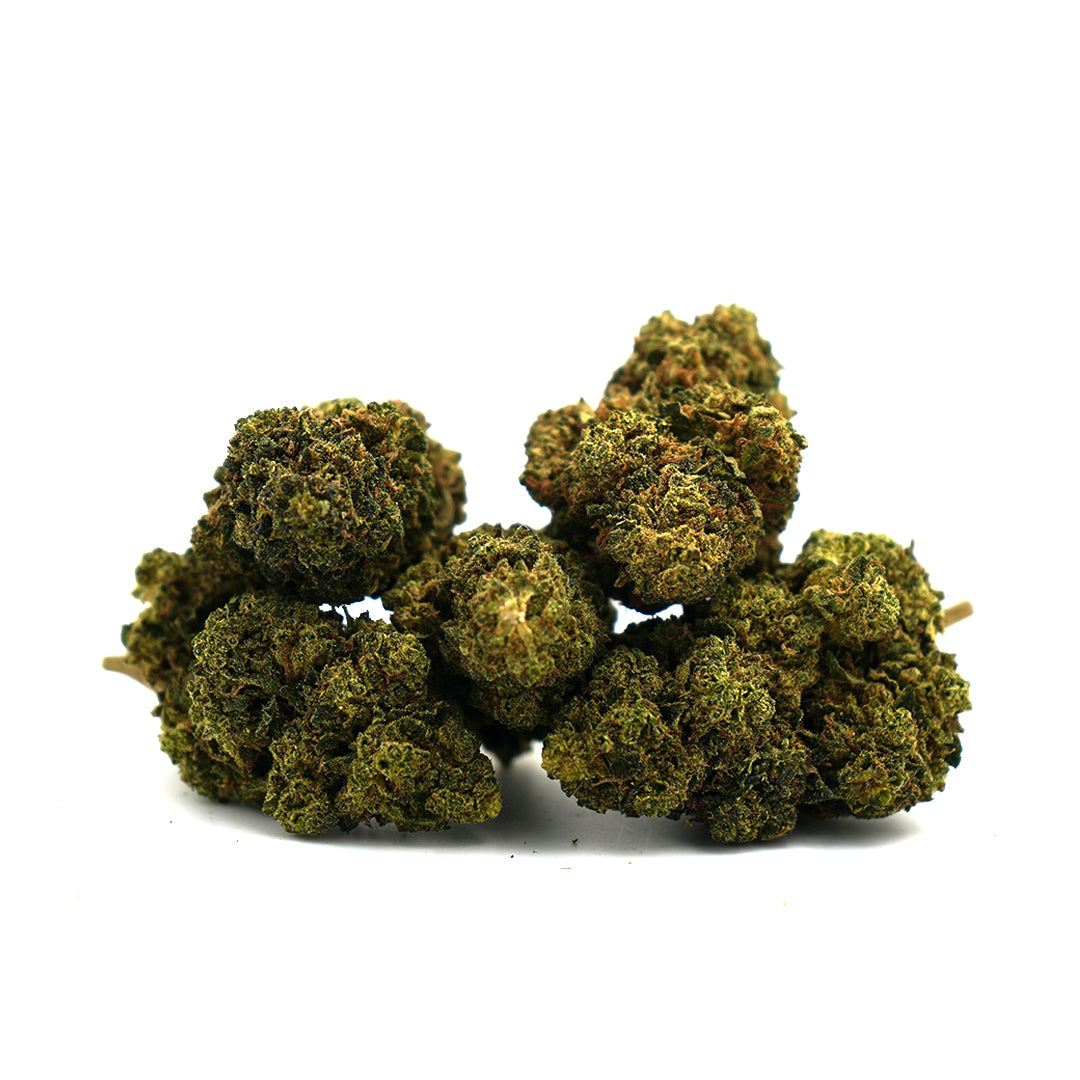 White Widow [Indoor] - Il grossista di CBD