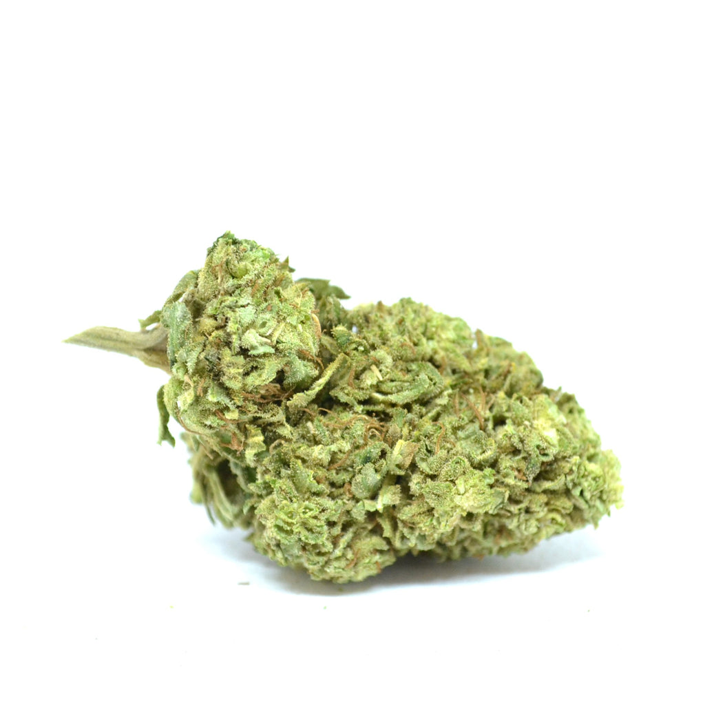 Northern Lights (Freeze Drying) [Greenhouse] in bulk