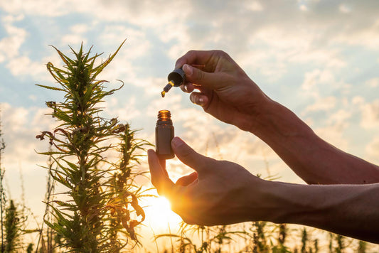 The benefits and precautions of consuming CBD products