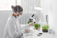 Why are laboratories essential in the CBD industry?