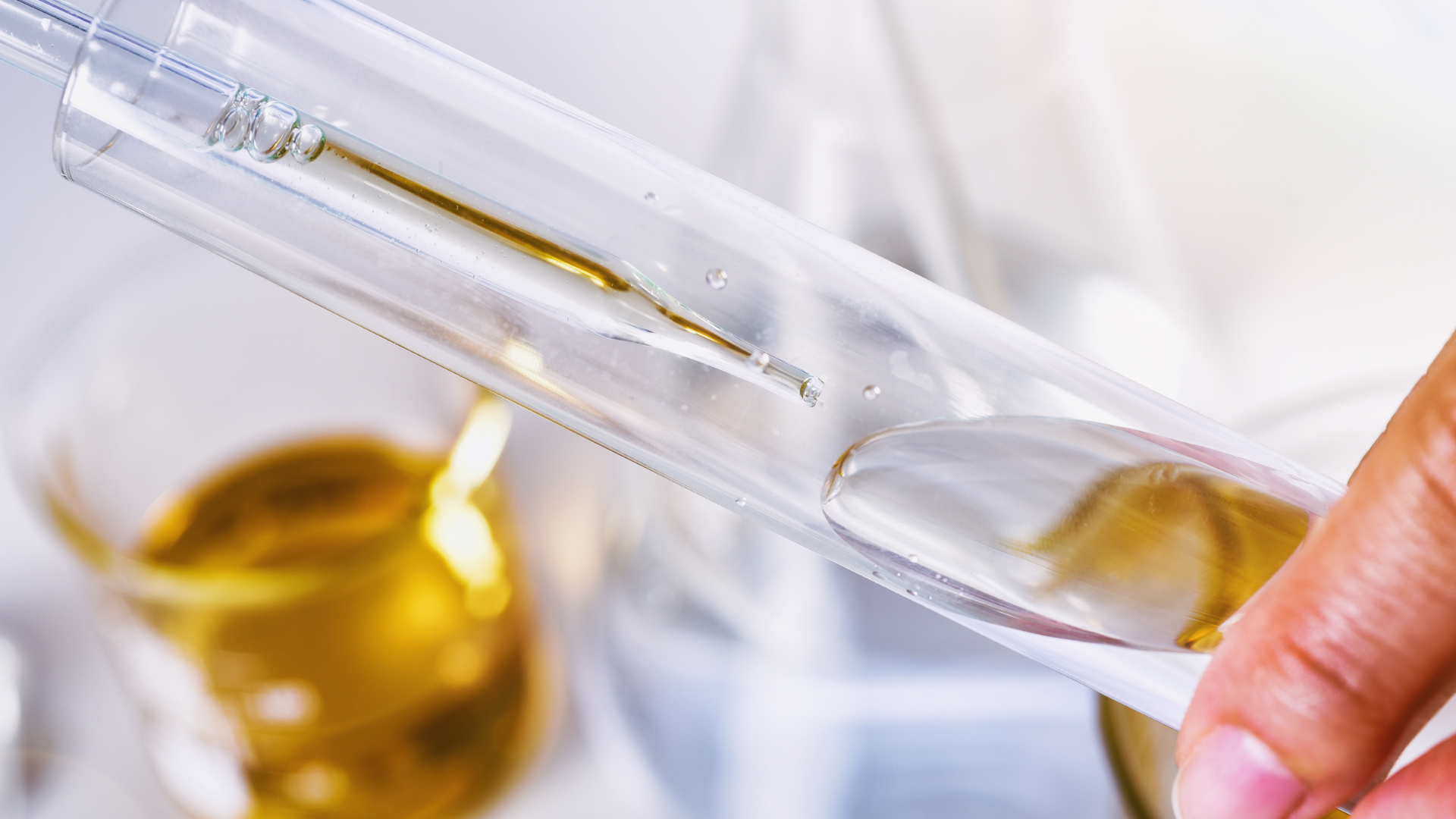 Cbd Process Everything you need to know about making CBD oil