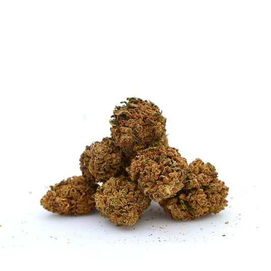 Teste piccole Orange Bud [Greenhouse]