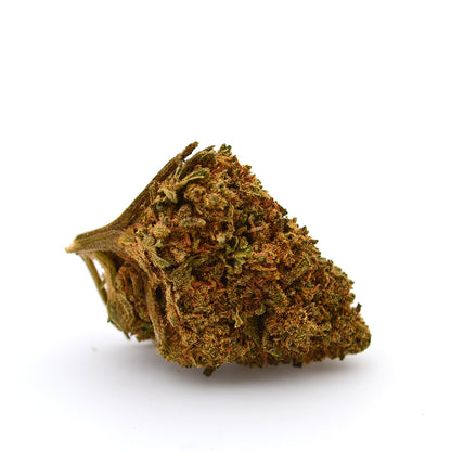 Teste piccole Orange Bud [Greenhouse]