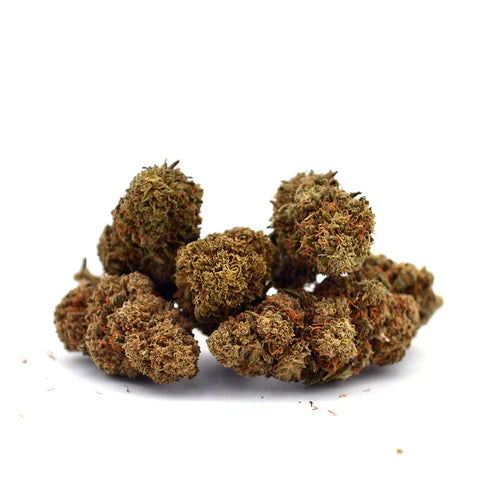 Orange Bud " - Amostra (100% de desconto)