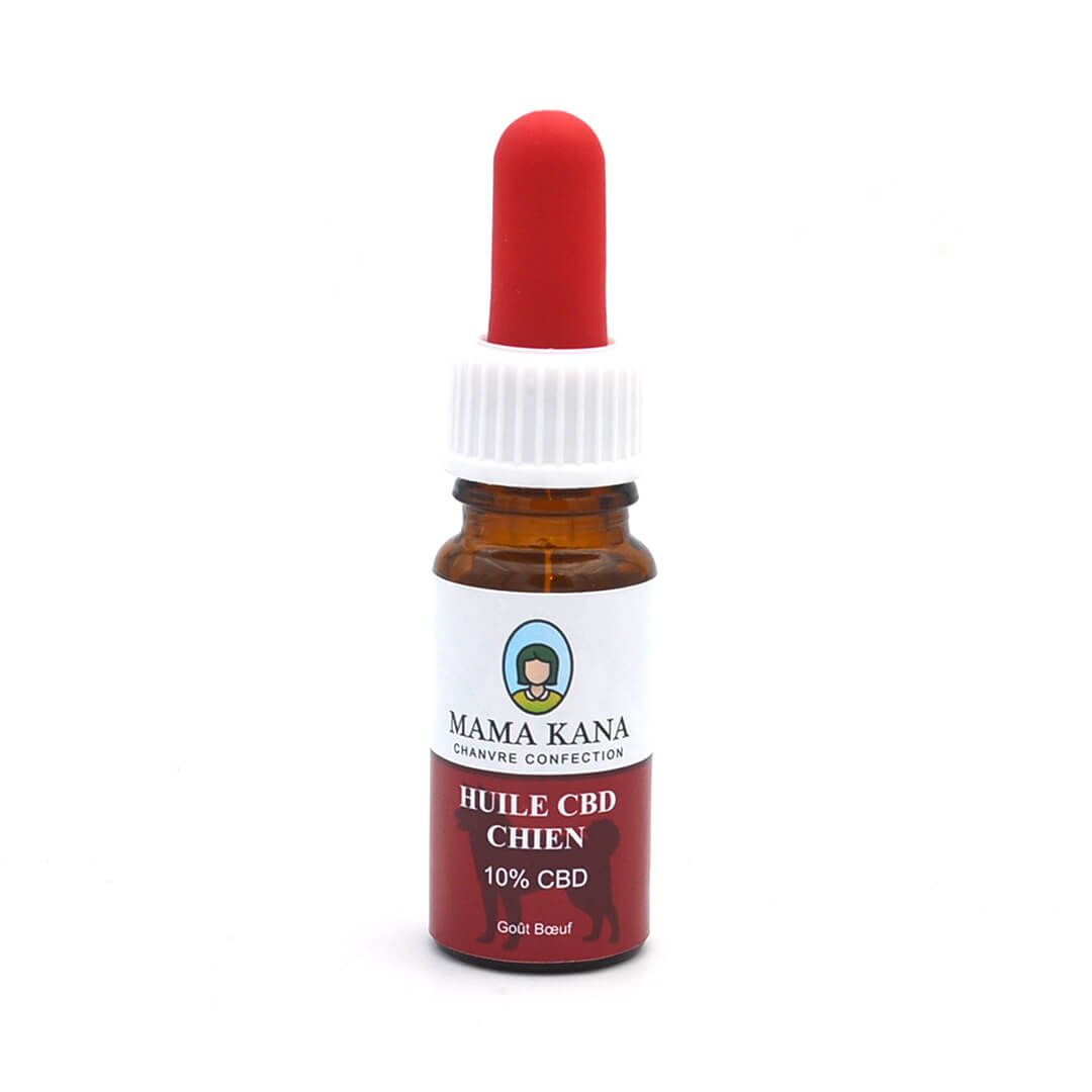 Huile CBD chien - 10%