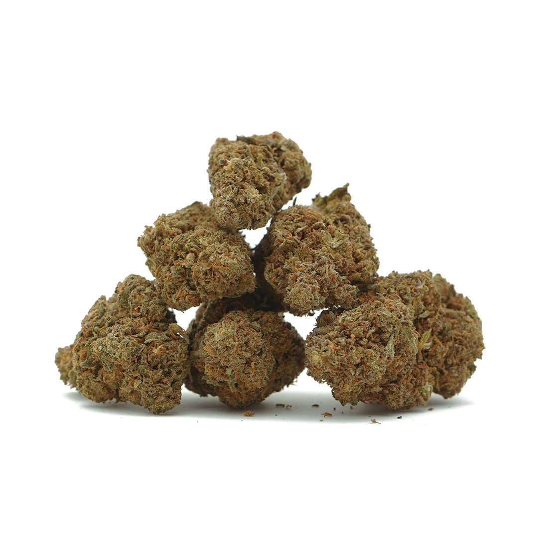 Jack Herer [Sous-serre]