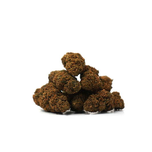 Orange Bud [Greenhouse]