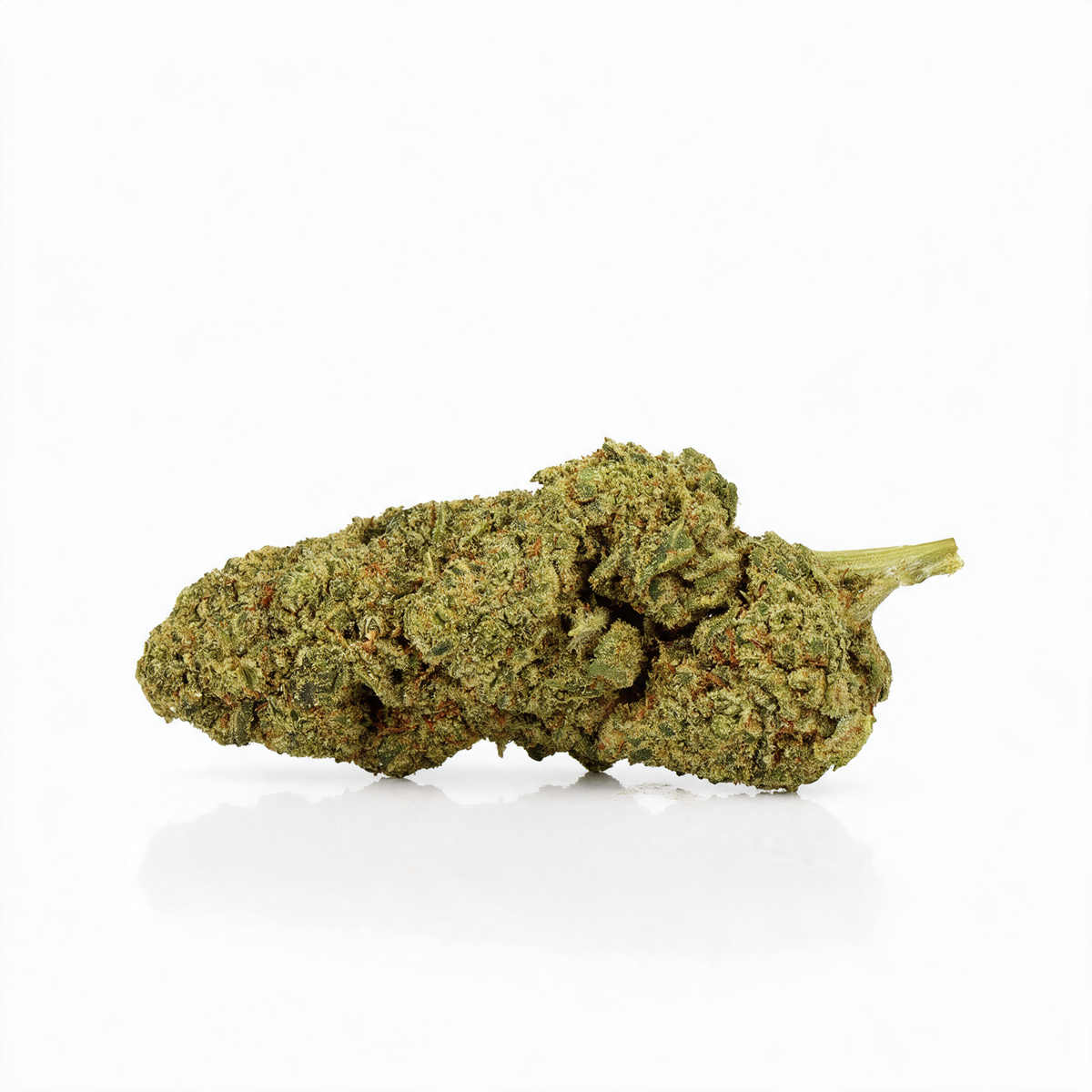 Payton CBD [Hydroponique]