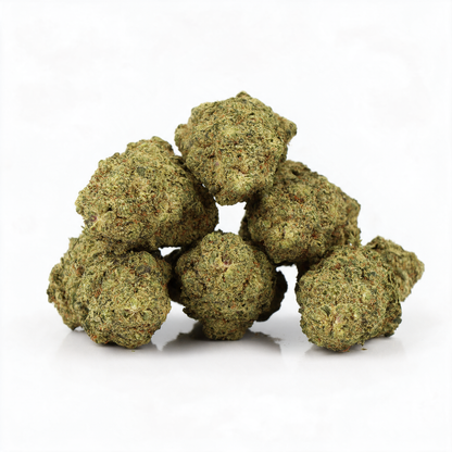 Payton CBD [Hydroponique]