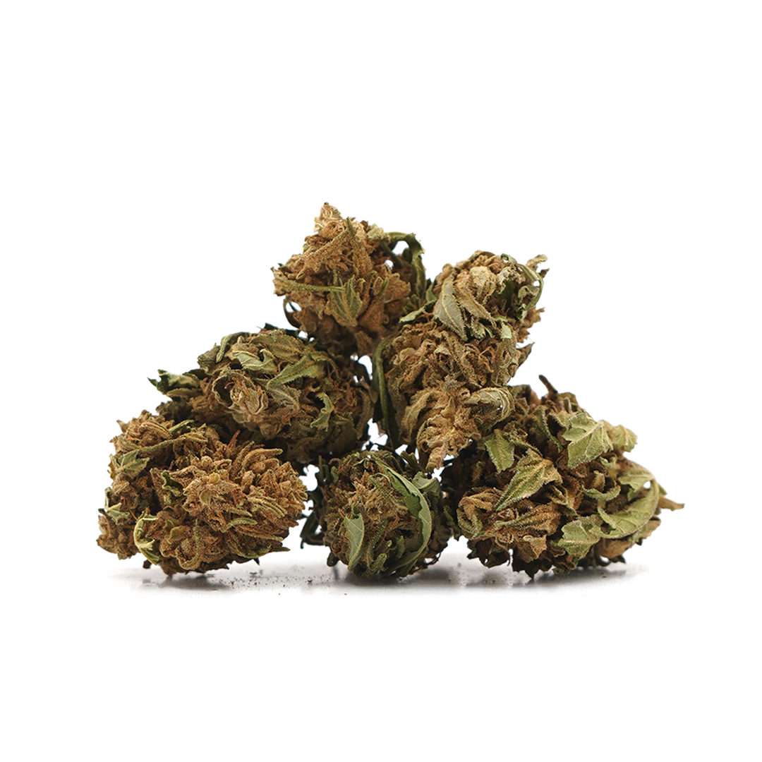 Small heads Banana CBG [Greenhouse] [Greenhouse [Greenhouse]Banana CBG