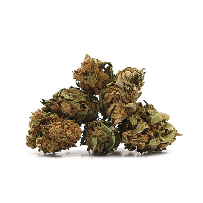 Small heads Banana CBG [Greenhouse] [Greenhouse [Greenhouse]Banana CBG