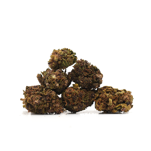 Petites Têtes Purple Haze [Greenhouse]