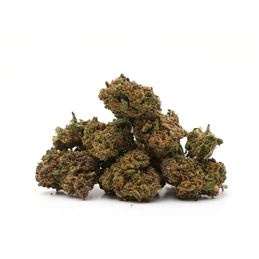 Kleine Köpfe Tropical Haze [Greenhouse]