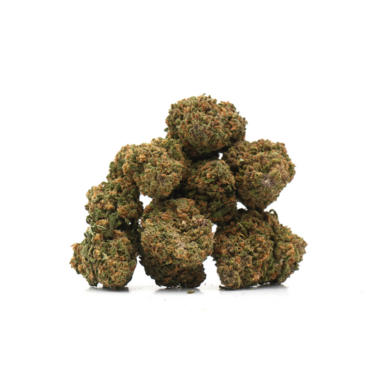 Tropical Haze [Indoor]