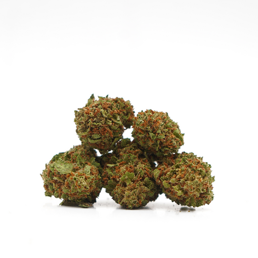 Mirtillo [Greenhouse]