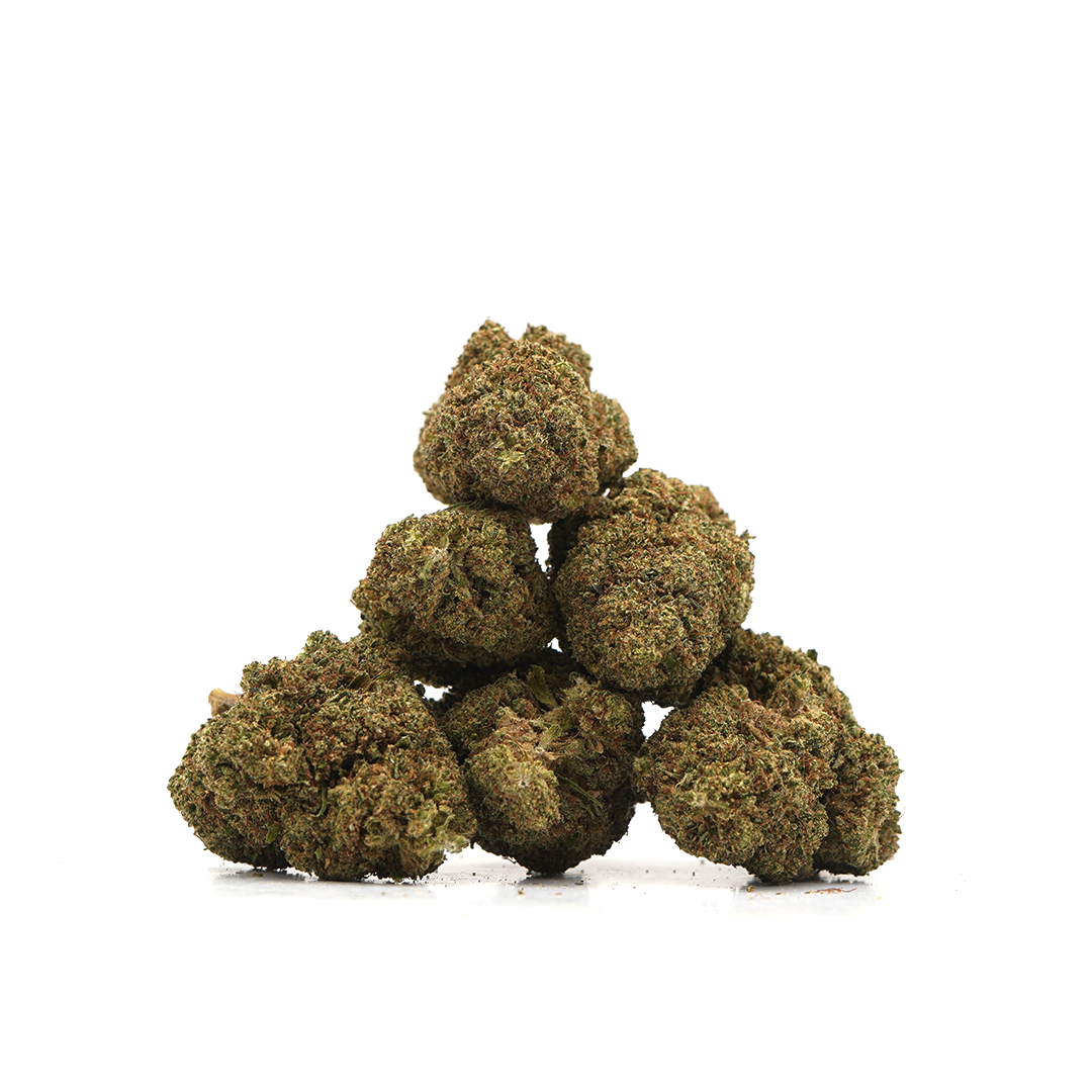 Cheesecake [Indoor]