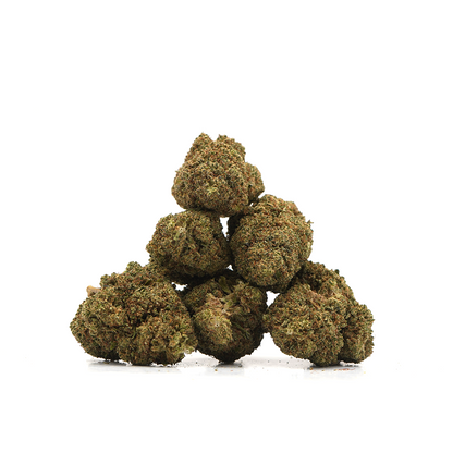 Cheesecake [Indoor]