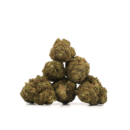 Cheesecake [Indoor]