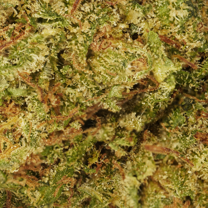 Cookie Kush [Intérieur]