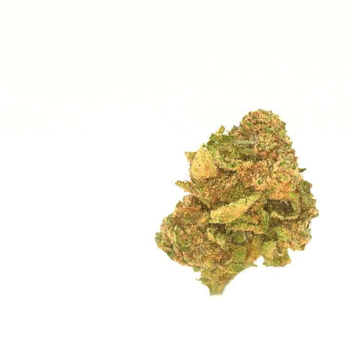 Critical [Indoor]