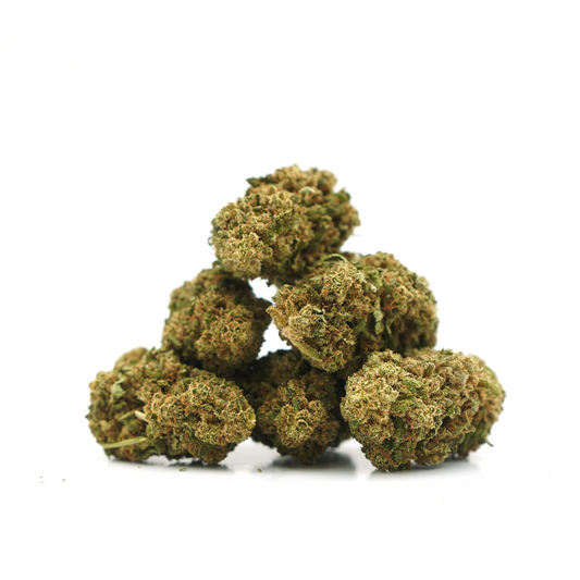 Gelato [Indoor]