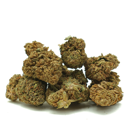 Jack Herer [Sous-serre]