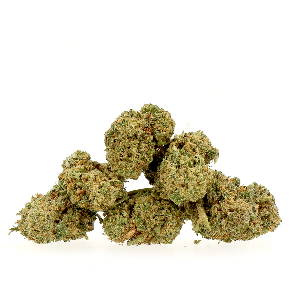 Petites Têtes Amnesia [Hydro]