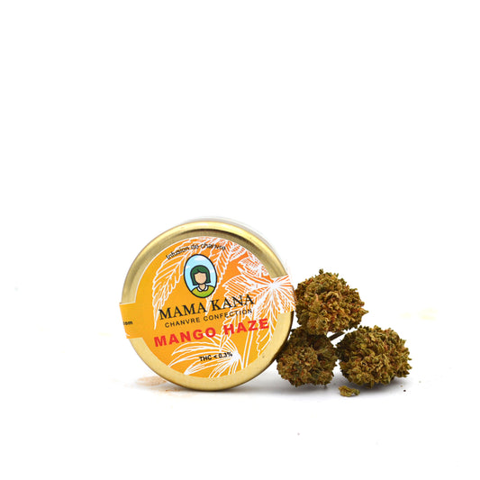 Vasi di Mango Haze [Indoor]