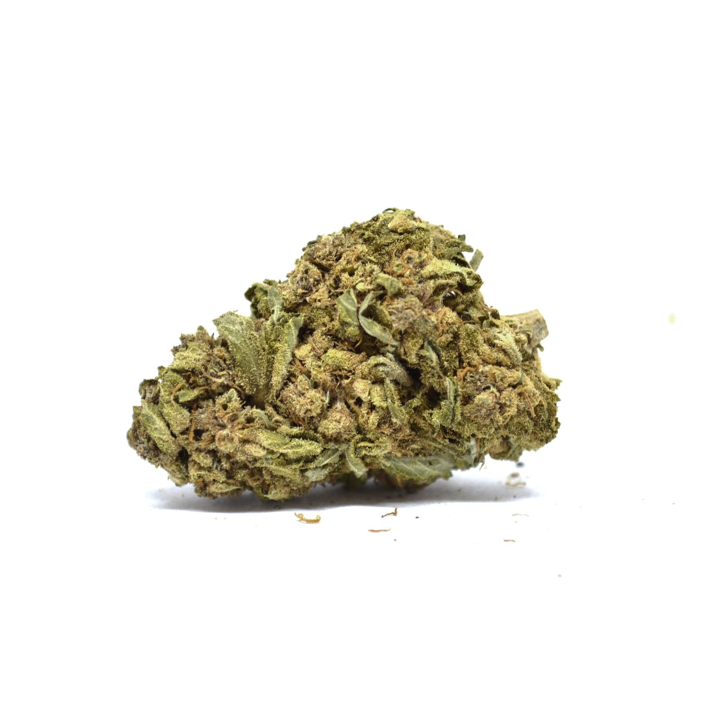 Jack Herer [Sous-serre]