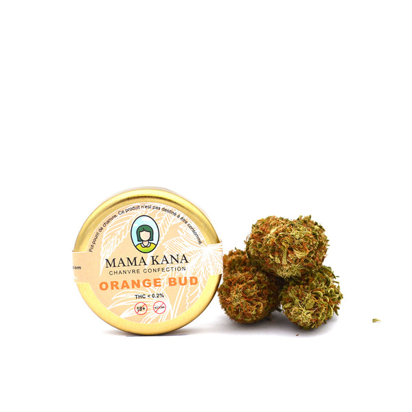 Pots d'Orange Bud [Sous-serre]